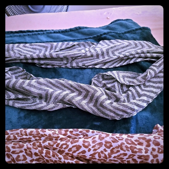 Scarves - Picture 1 of 6